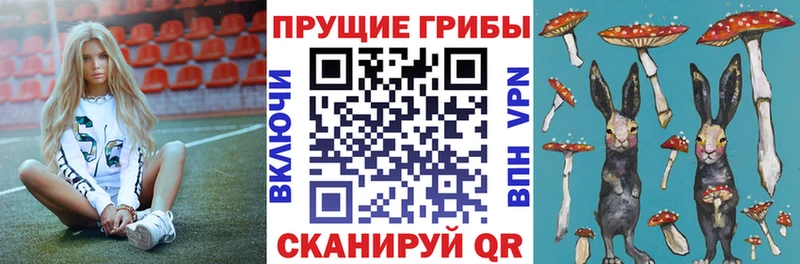 Псилоцибиновые грибы мухоморы  где продают   omg зеркало  Заринск 